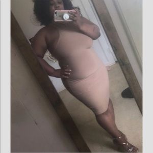 Frame fitting Tan Dress